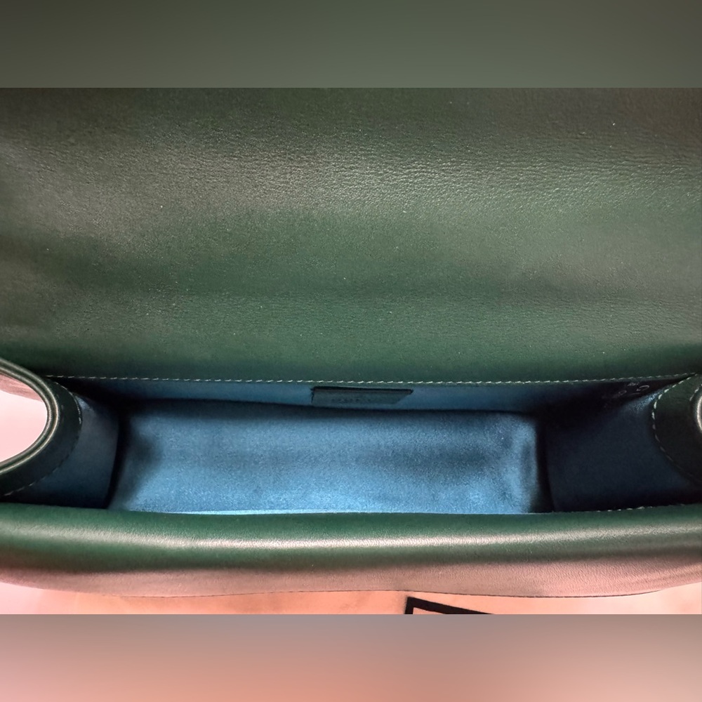 🔥Limited Edition Gucci Velvet Dionysus Small - Picture 5 of 15